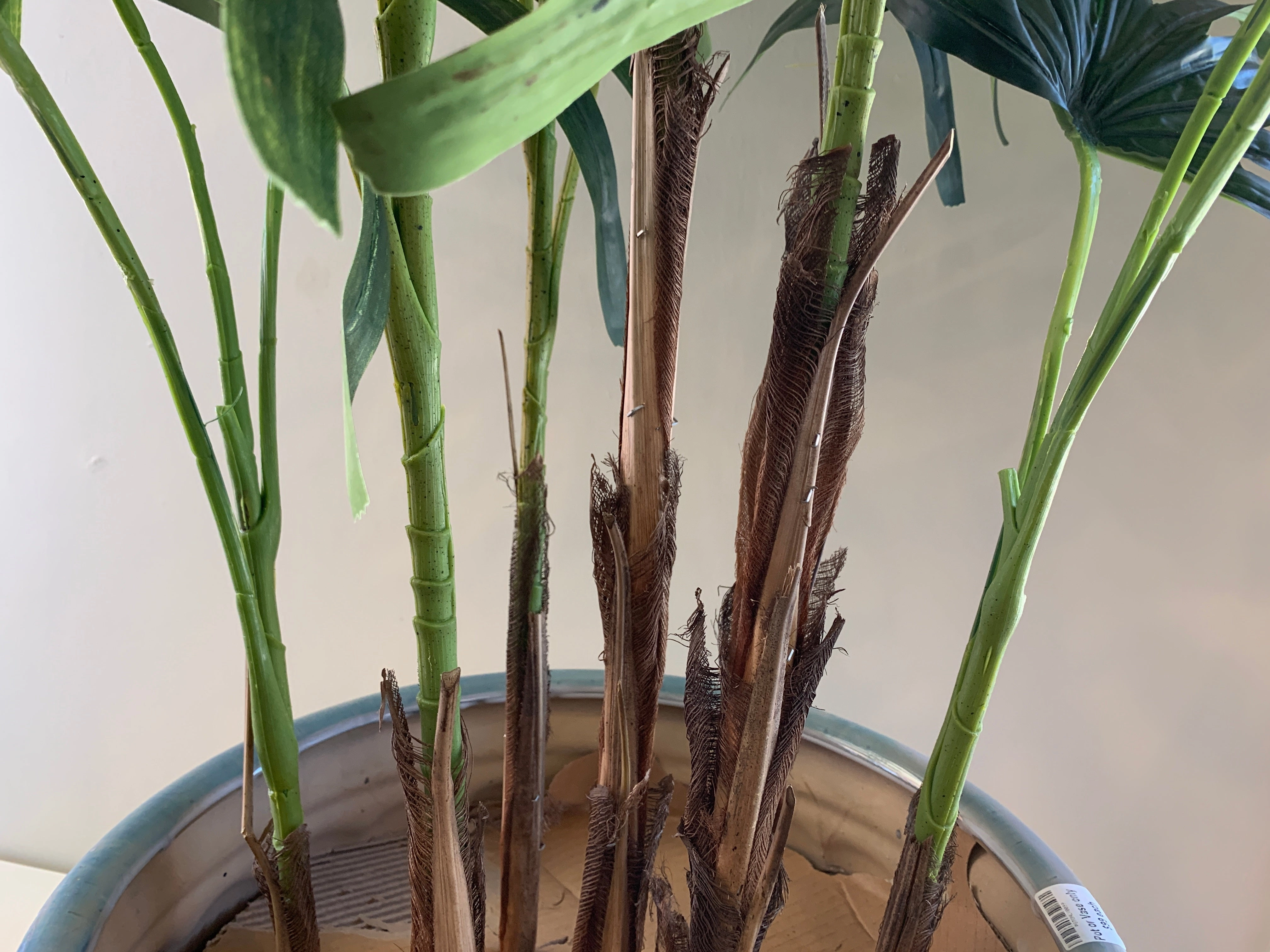 T0150 Lady Finger Palm 130cm