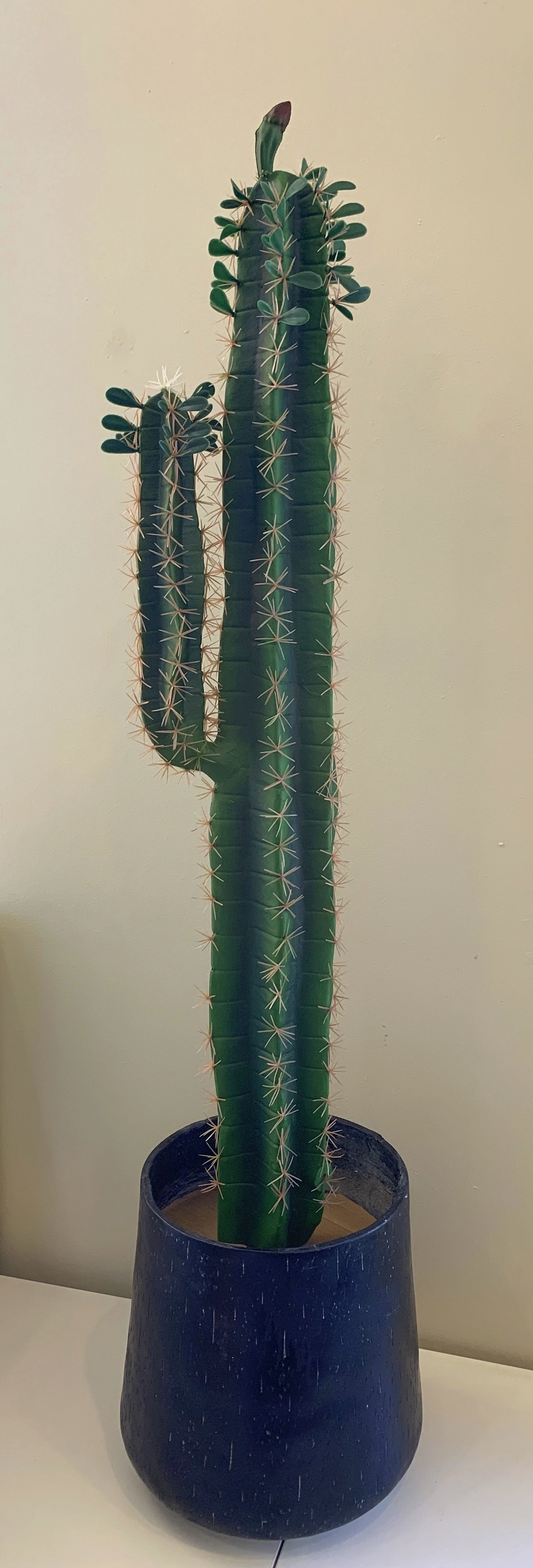 T0153 Prickly Finger Cactus 3 Sizes 180 / 140 / 100cm