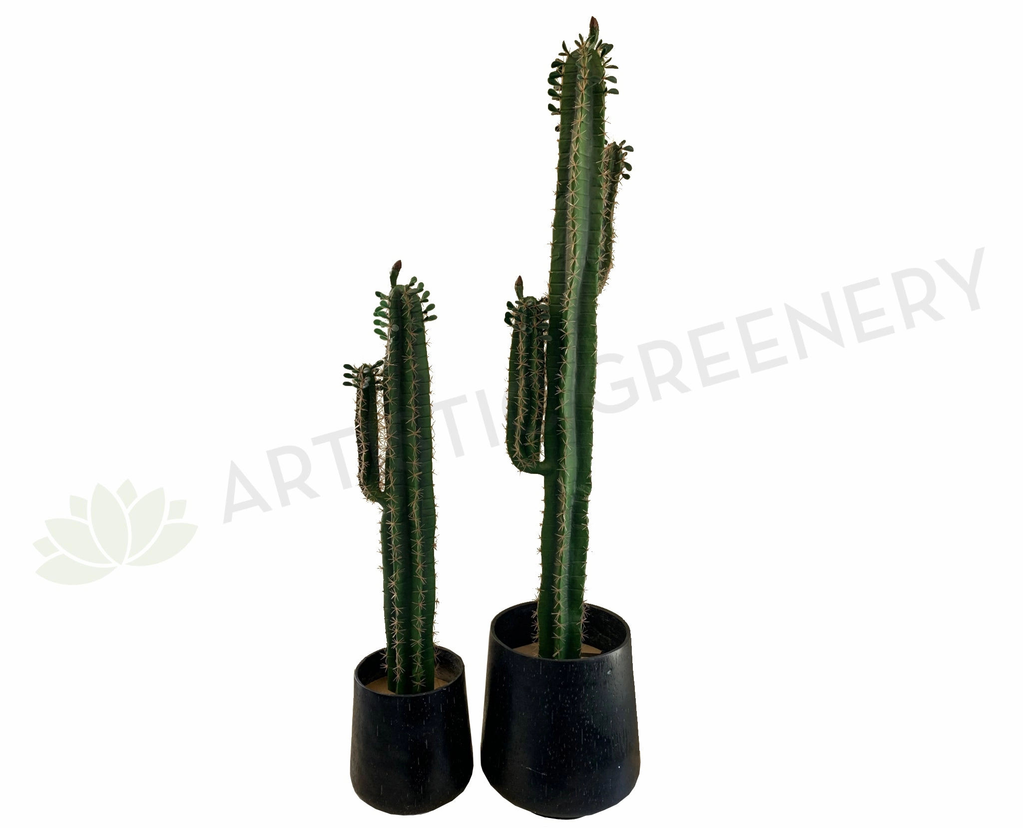 T0153 Prickly Finger Cactus 3 Sizes 180 / 140 / 100cm sun perennial  