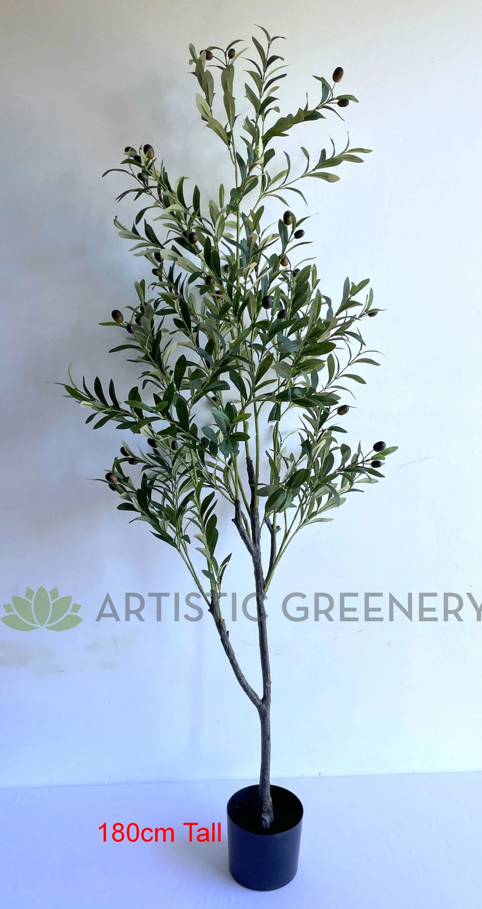 T0159 Olive Tree 150cm / 180cm
