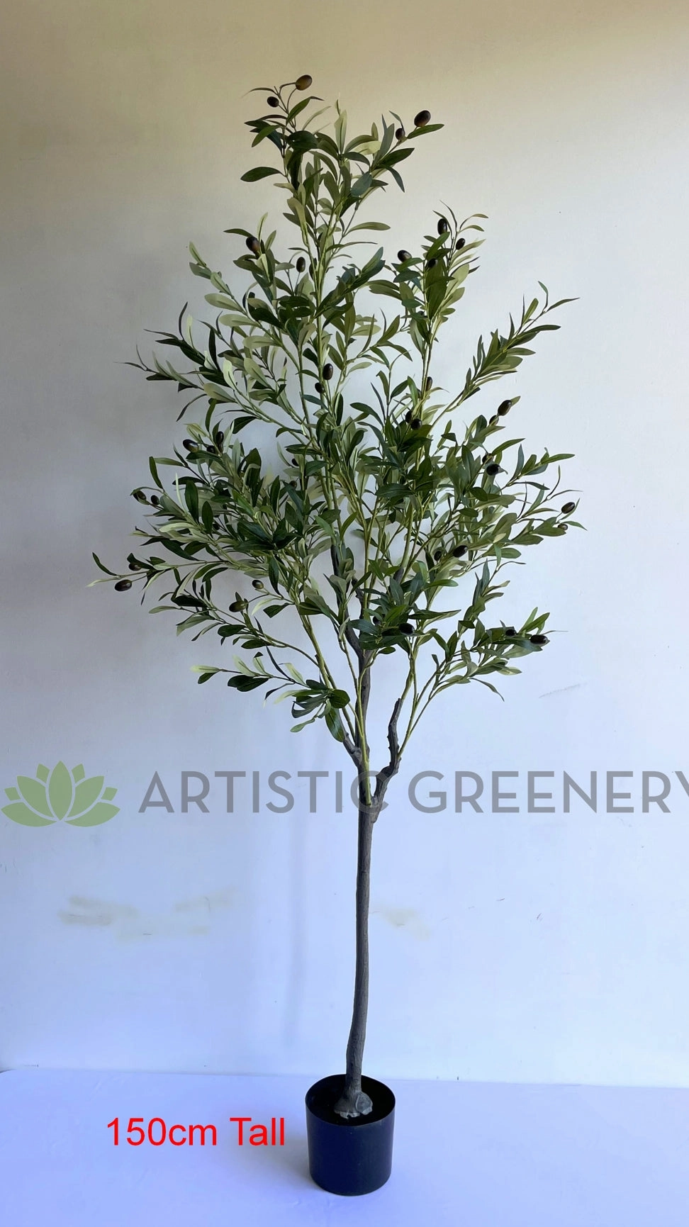 T0159 Olive Tree 150cm / 180cm