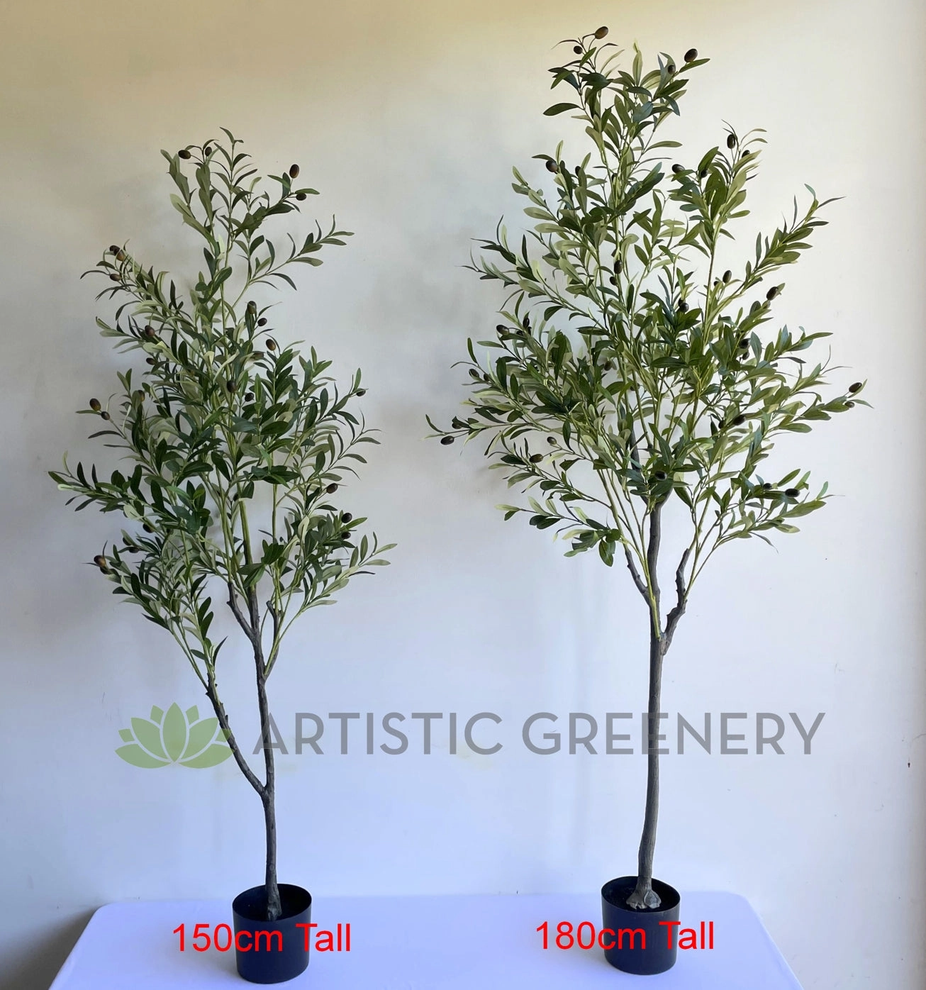 T0159 Olive Tree 150cm / 180cm