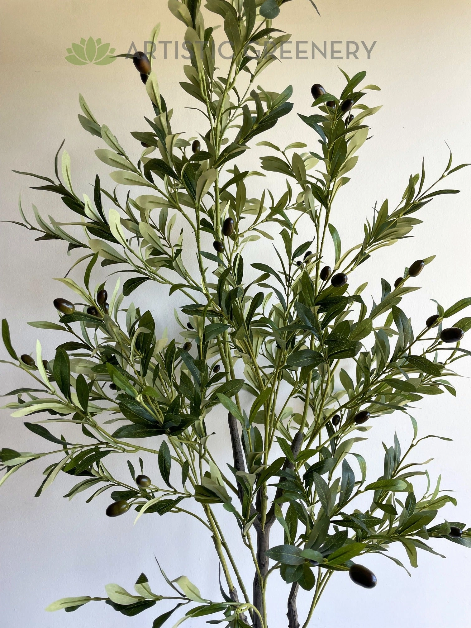 T0159 Olive Tree 150cm / 180cm