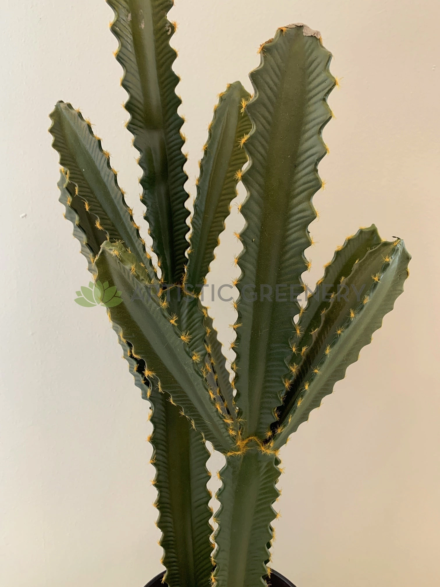 T0160 Cactus in Pot 4 Styles 70-78cm