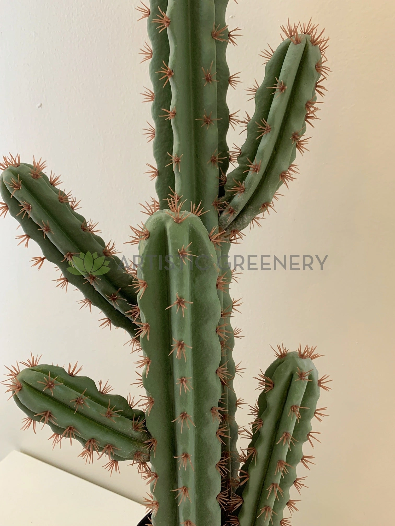 T0160 Cactus in Pot 4 Styles 70-78cm