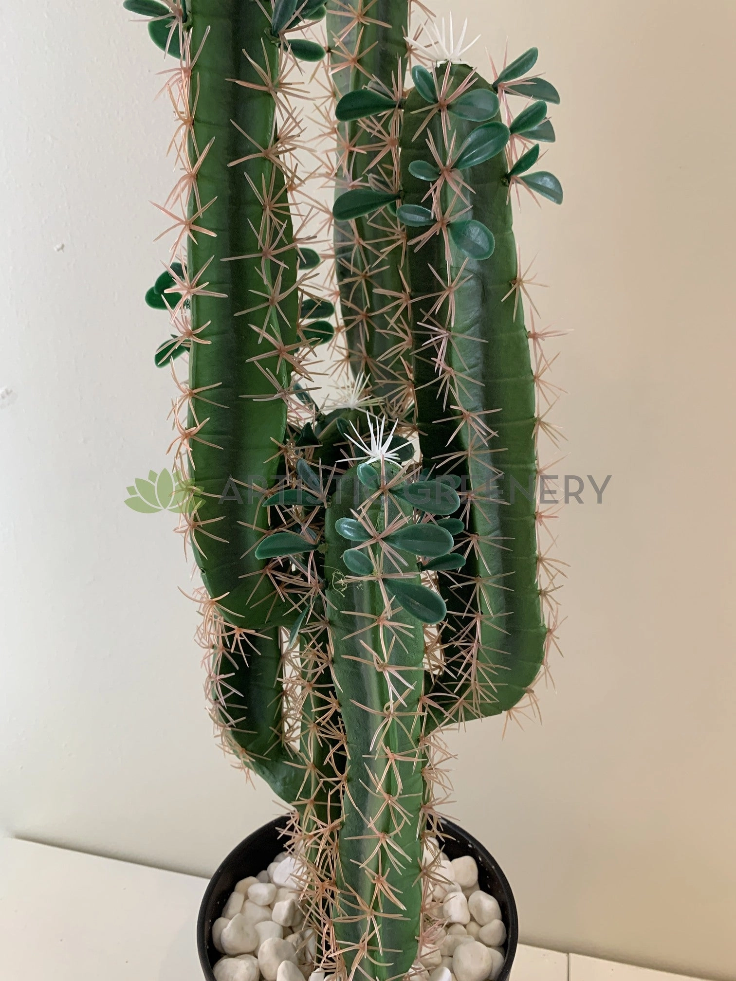 T0160 Cactus in Pot 4 Styles 70-78cm