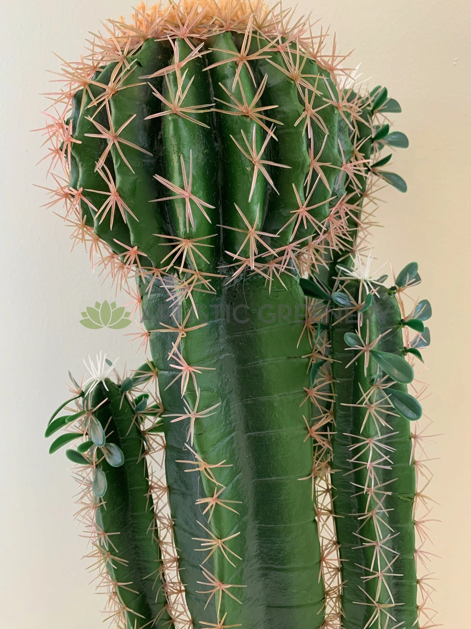 T0160 Cactus in Pot 4 Styles 70-78cm