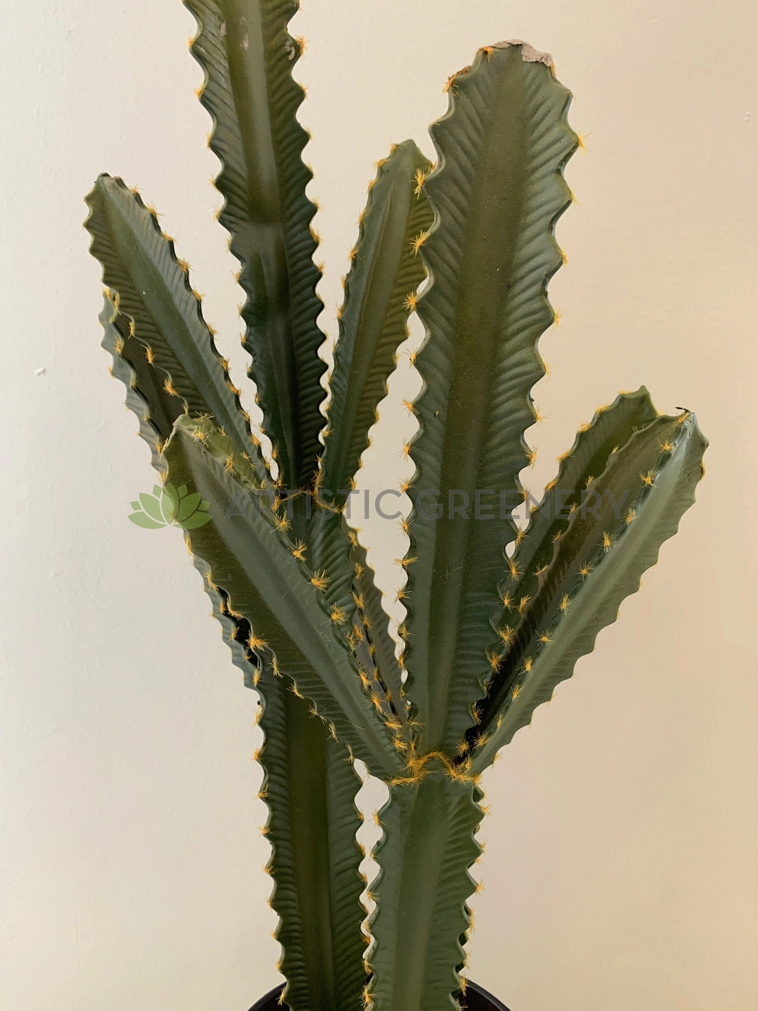 T0160 Cactus in Pot 4 Styles 70-78cm