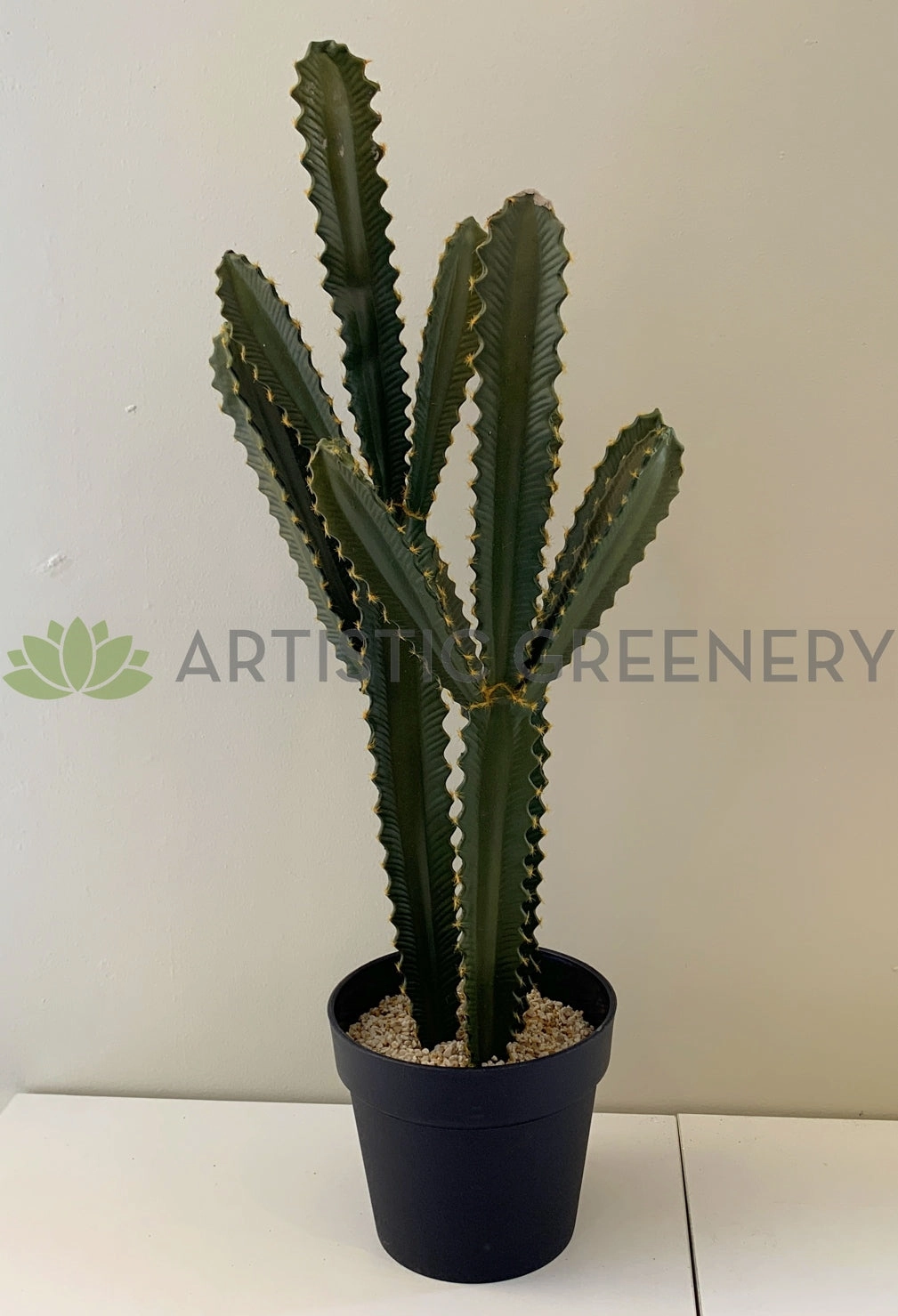 T0160 Cactus in Pot 4 Styles 70-78cm