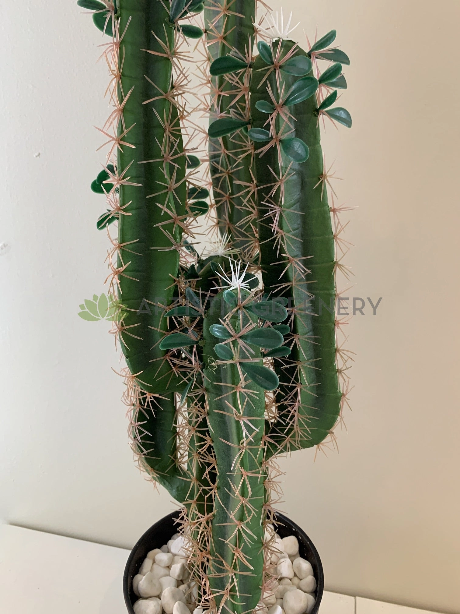 T0160 Cactus in Pot 4 Styles 70-78cm
