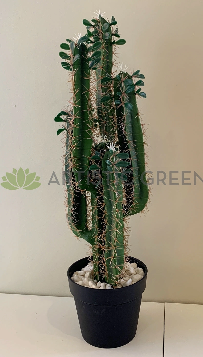 T0160 Cactus in Pot 4 Styles 70-78cm
