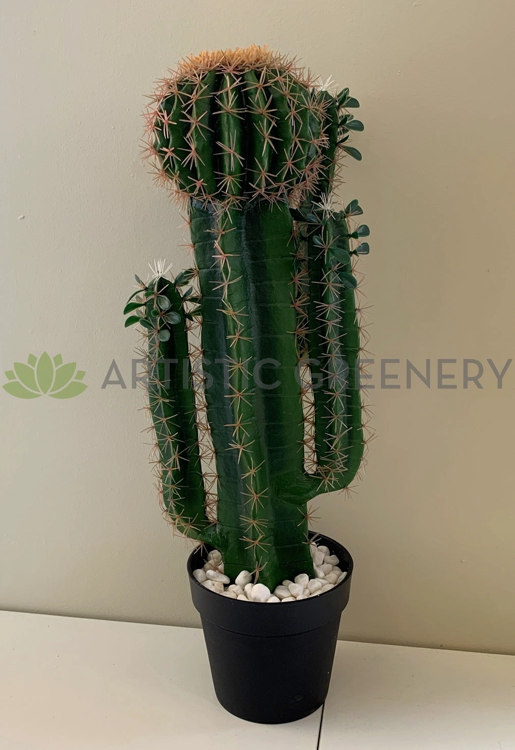 T0160 Cactus in Pot 4 Styles 70-78cm