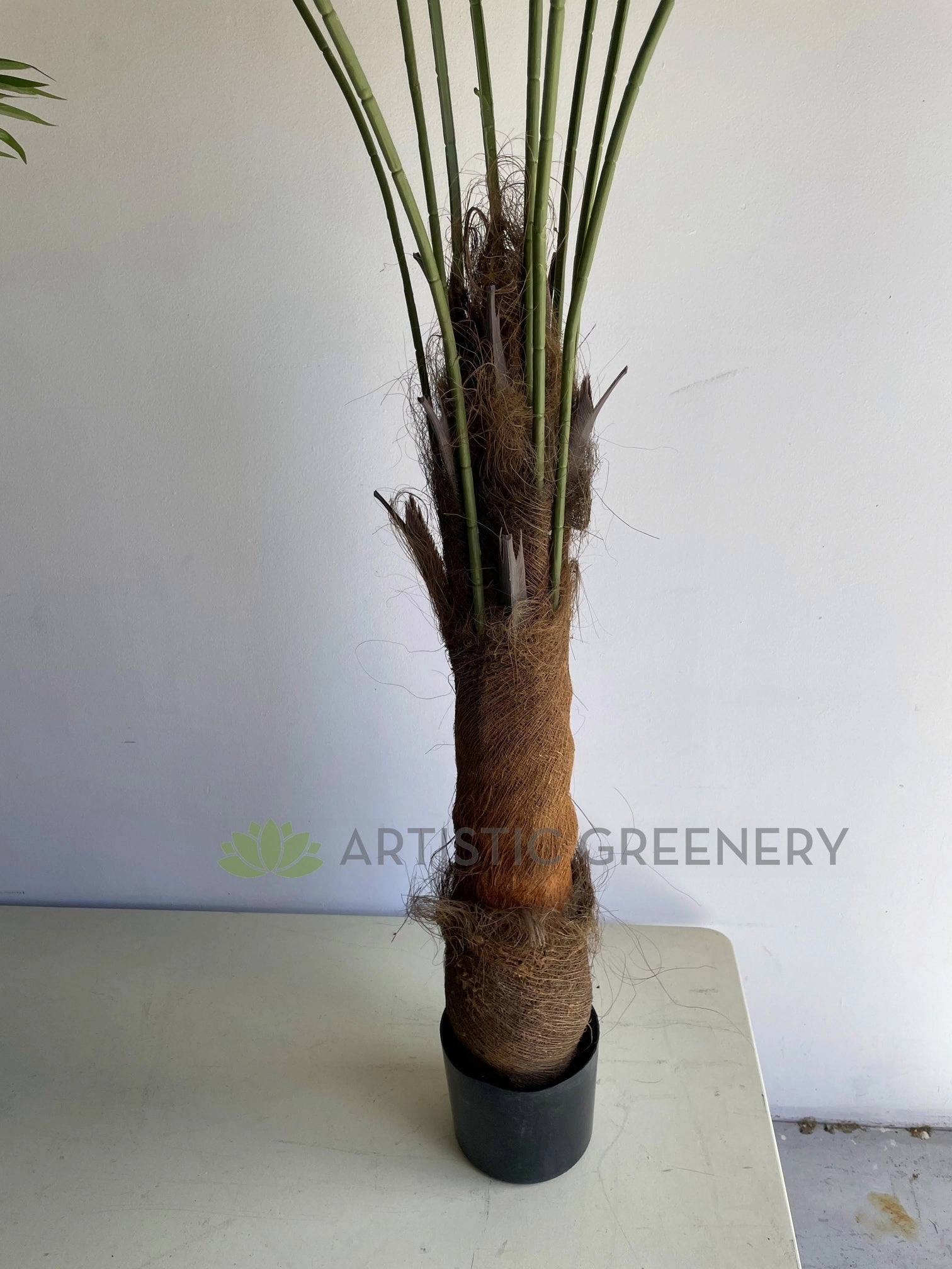 T0161 Fan Palm 3 Sizes 160 / 190 / 240cm
