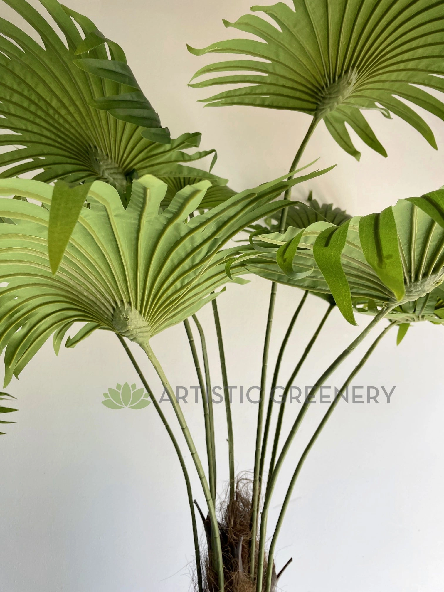 T0161 Fan Palm 3 Sizes 160 / 190 / 240cm