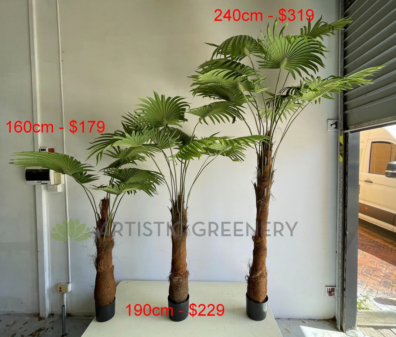 T0161 Fan Palm 3 Sizes 160 / 190 / 240cm
