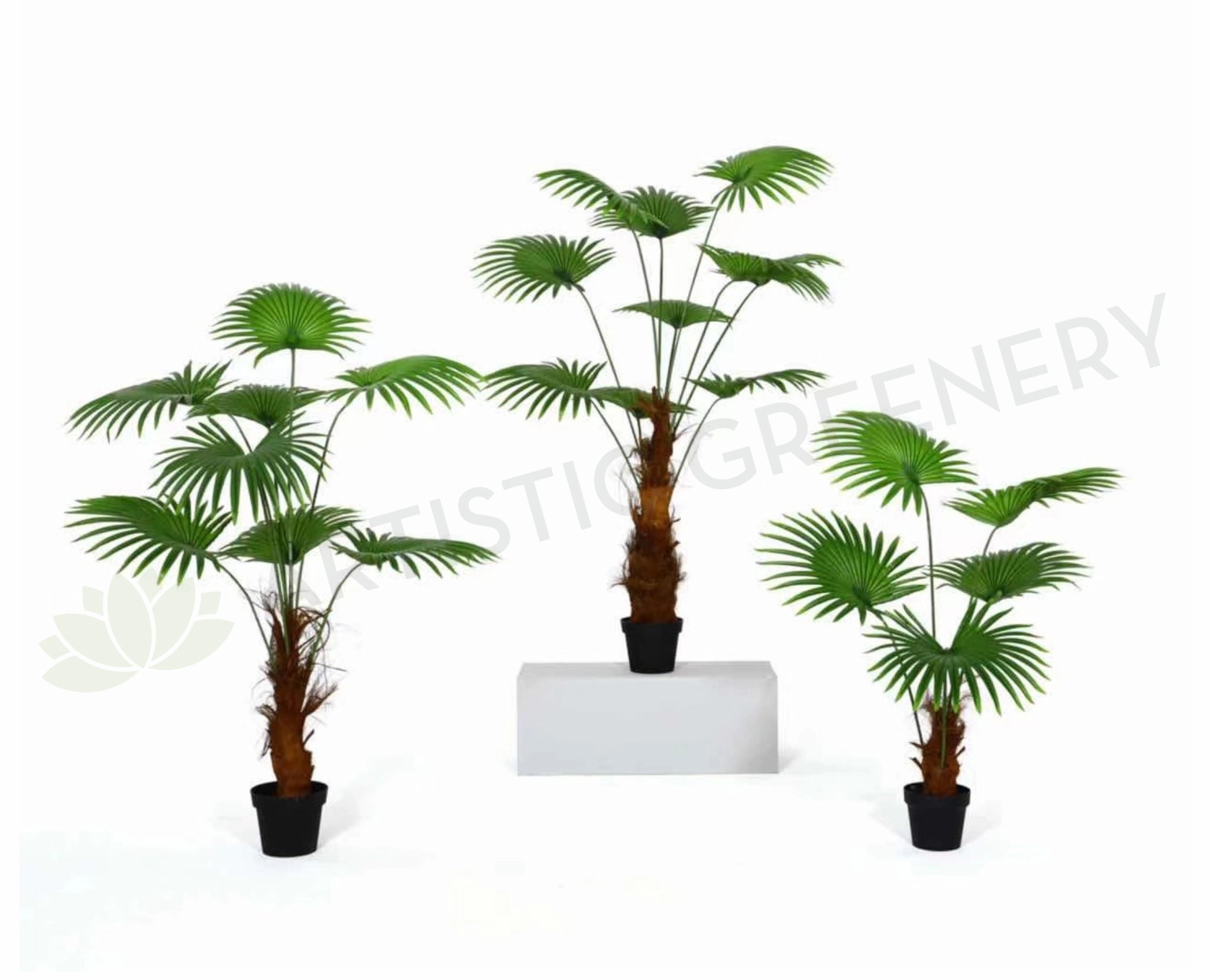 T0161 Fan Palm 3 Sizes 160 / 190 / 240cm sun perennial  