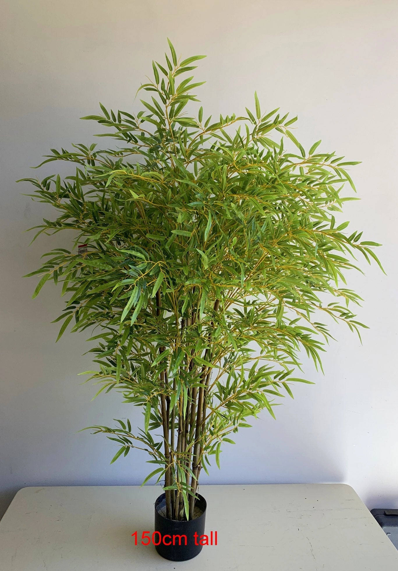 T0162 Bamboo Plant 120cm / 150cm
