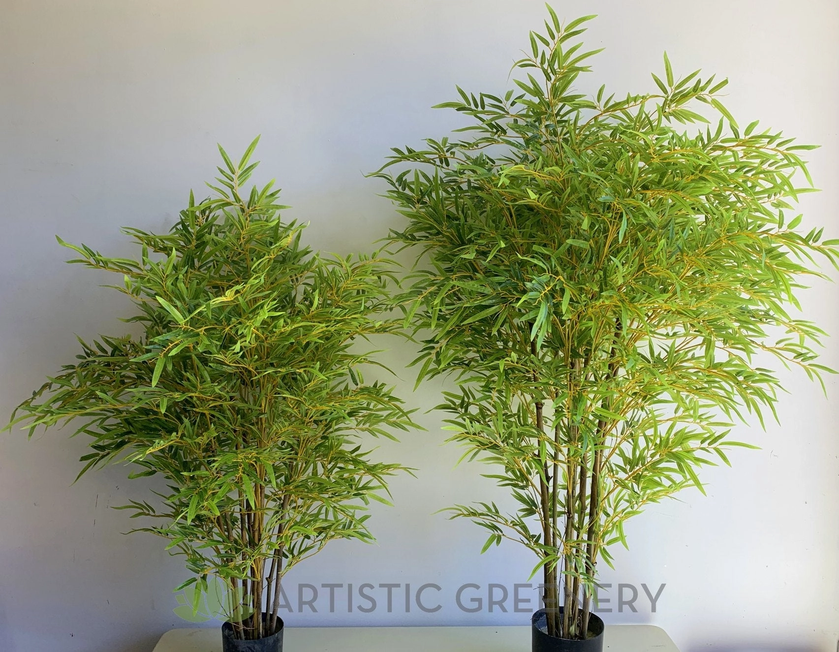 T0162 Bamboo Plant 120cm / 150cm