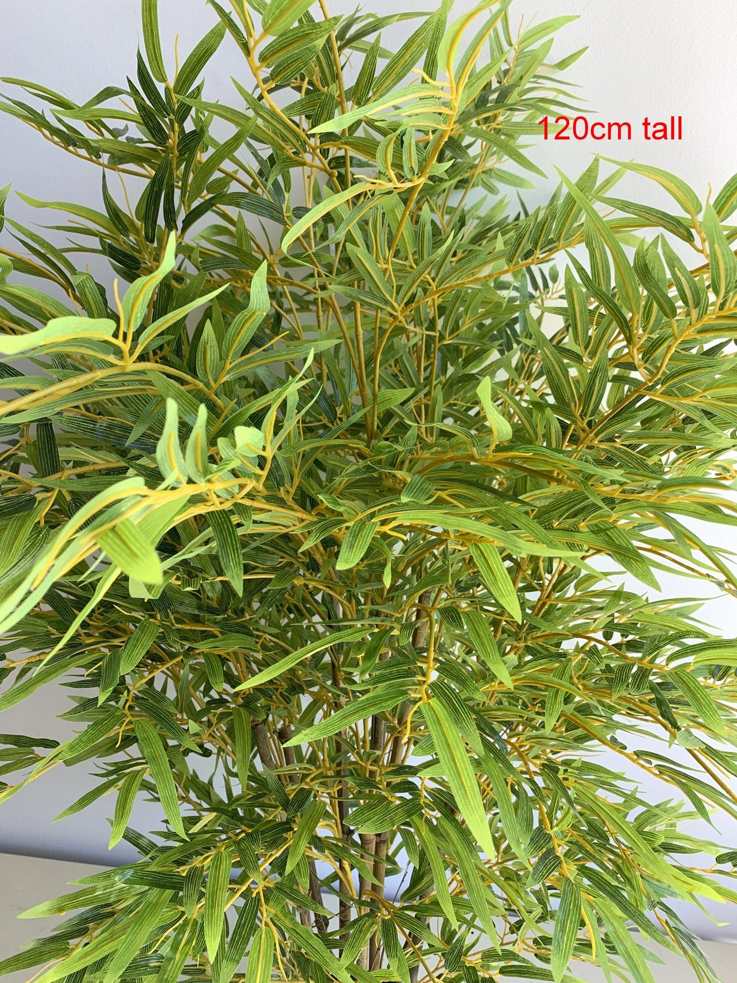T0162 Bamboo Plant 120cm / 150cm