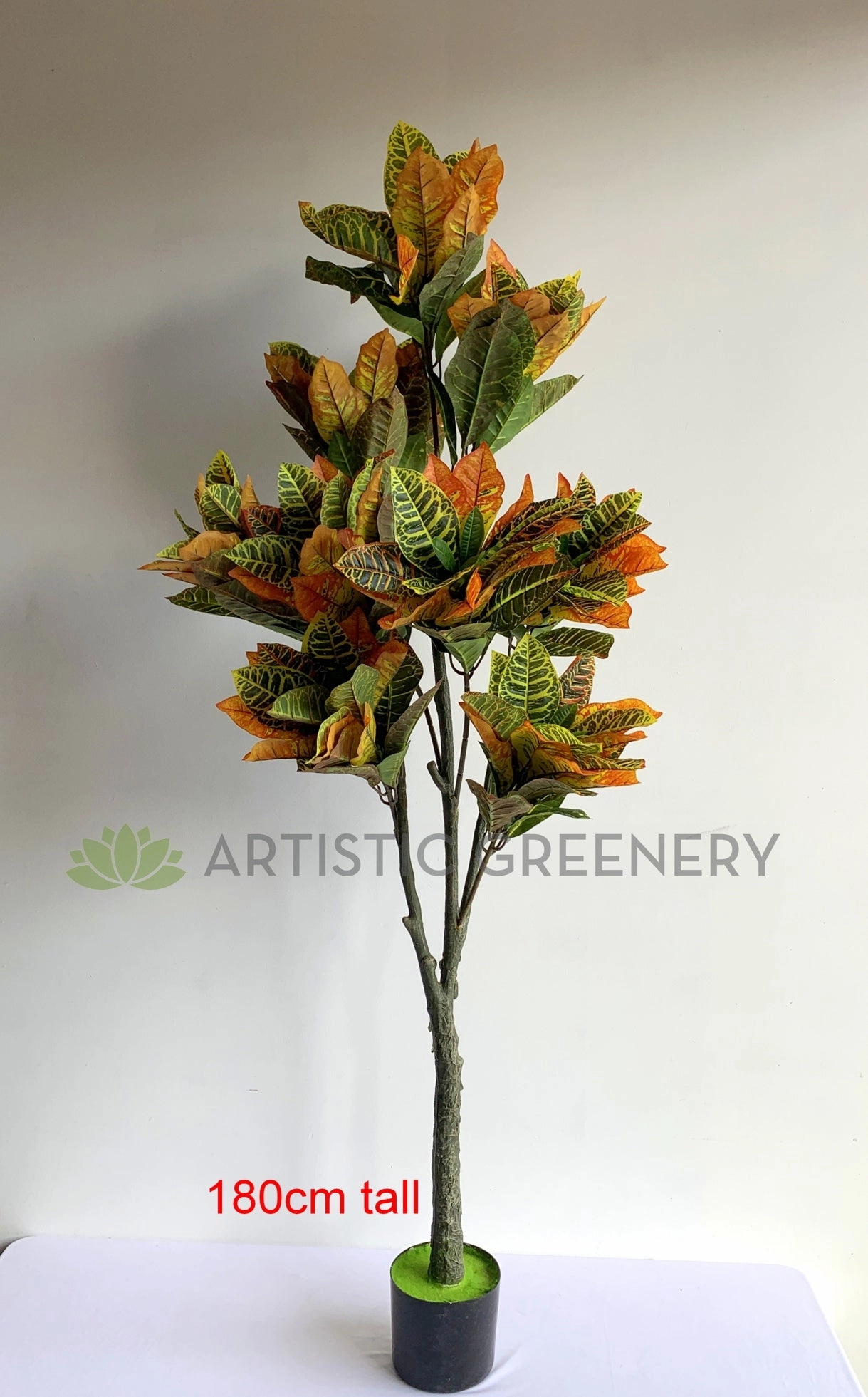 T0164 Red Croton Tree 3 Sizes 60 / 120 / 180cm