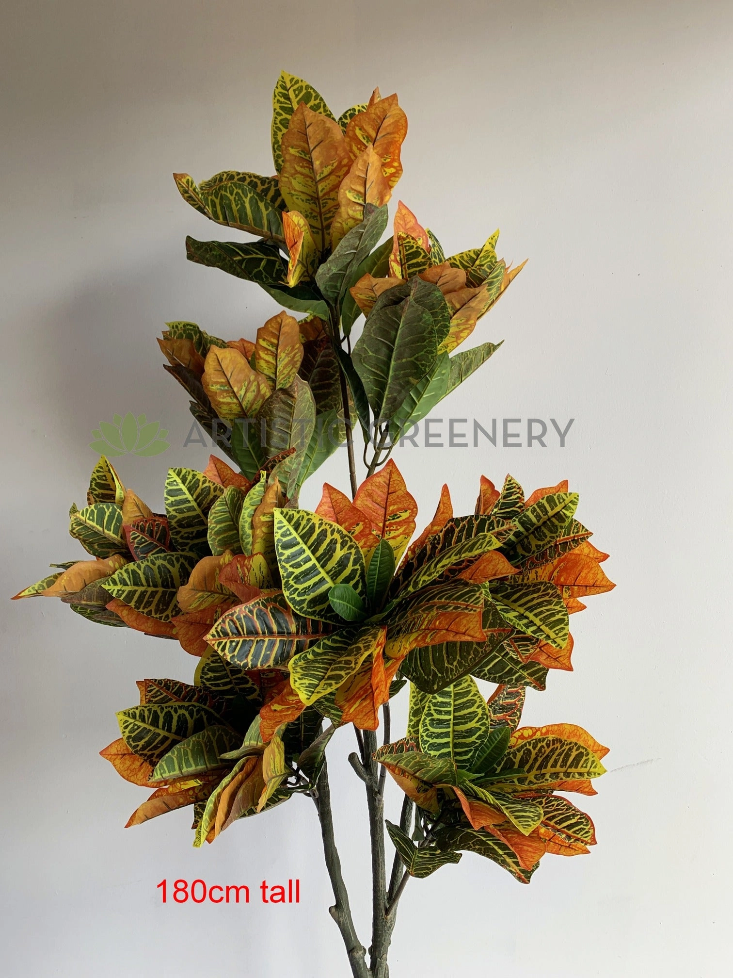 T0164 Red Croton Tree 3 Sizes 60 / 120 / 180cm
