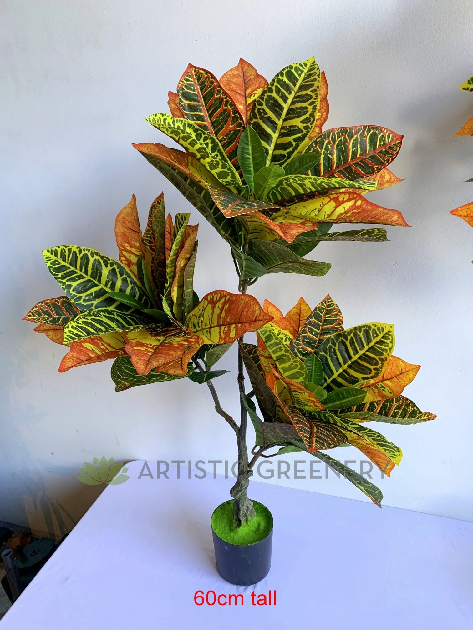 T0164 Red Croton Tree 3 Sizes 60 / 120 / 180cm