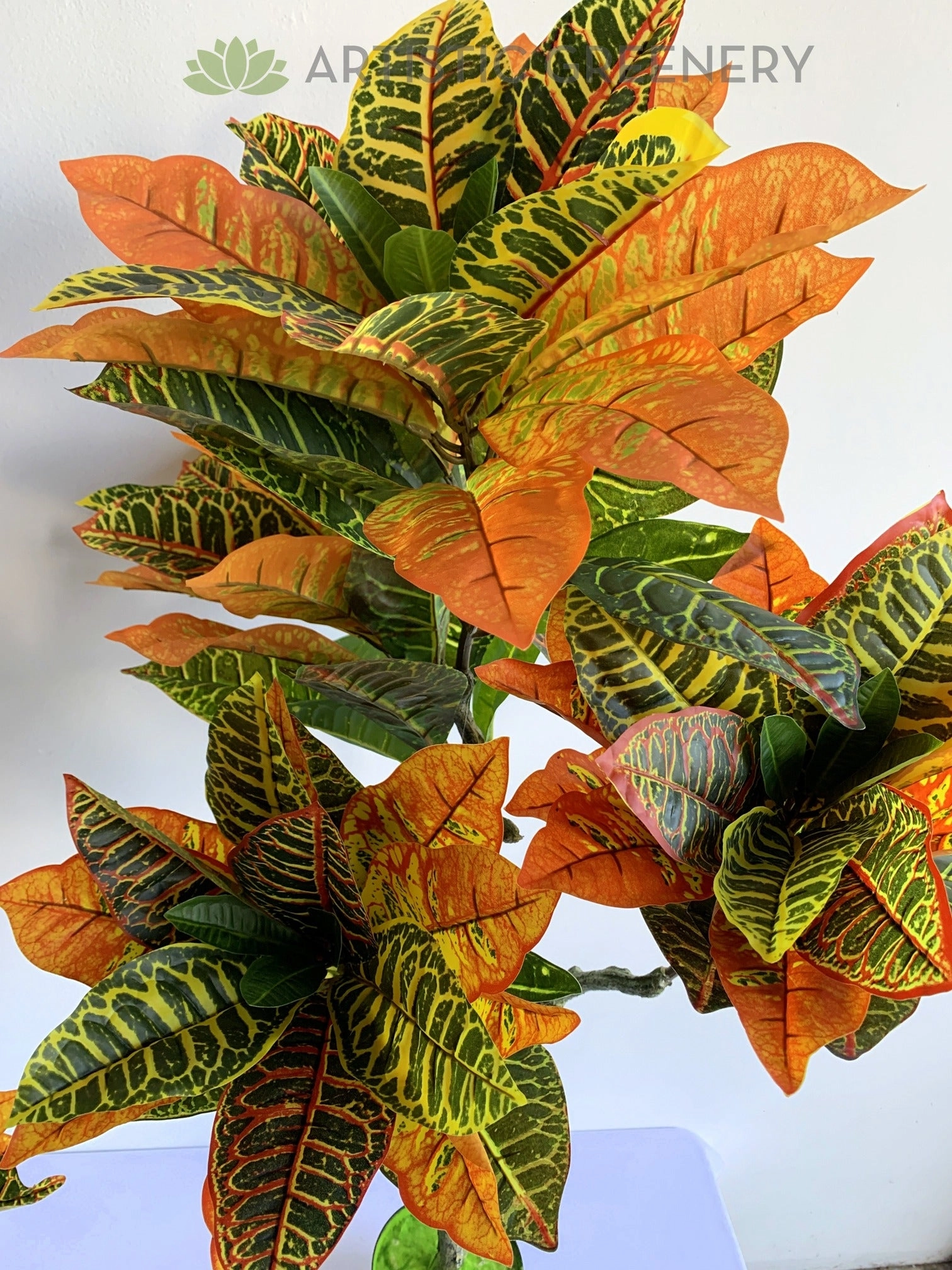 T0164 Red Croton Tree 3 Sizes 60 / 120 / 180cm