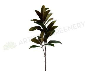 T0167 Magnolia Foilage / Branch 128cm dried green plant  