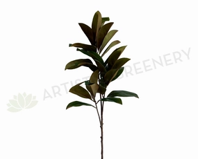 T0167 Magnolia Foilage / Branch 128cm indoor houseplants  