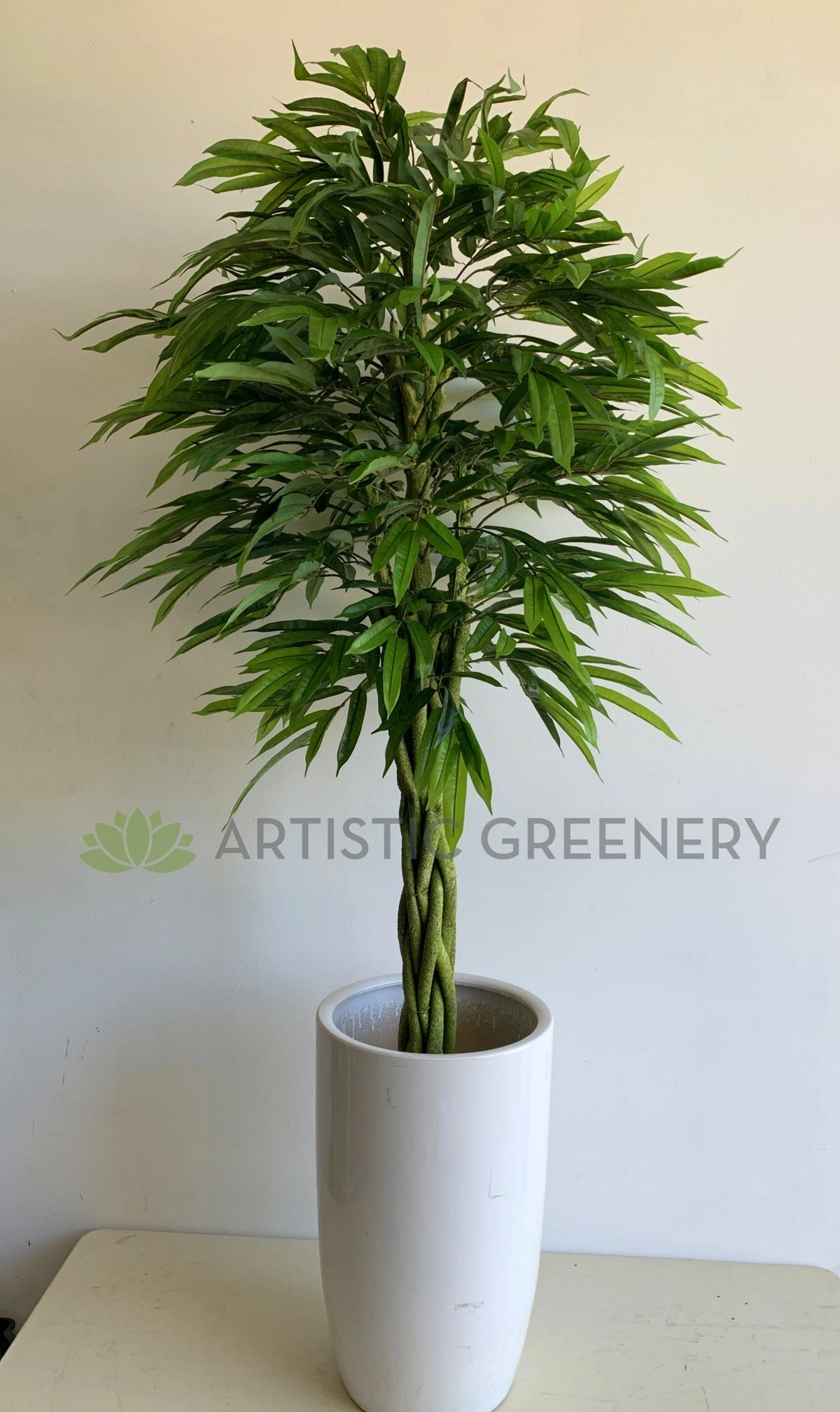 T0168 Banana-leaf Ficus Twisted Base 180cm