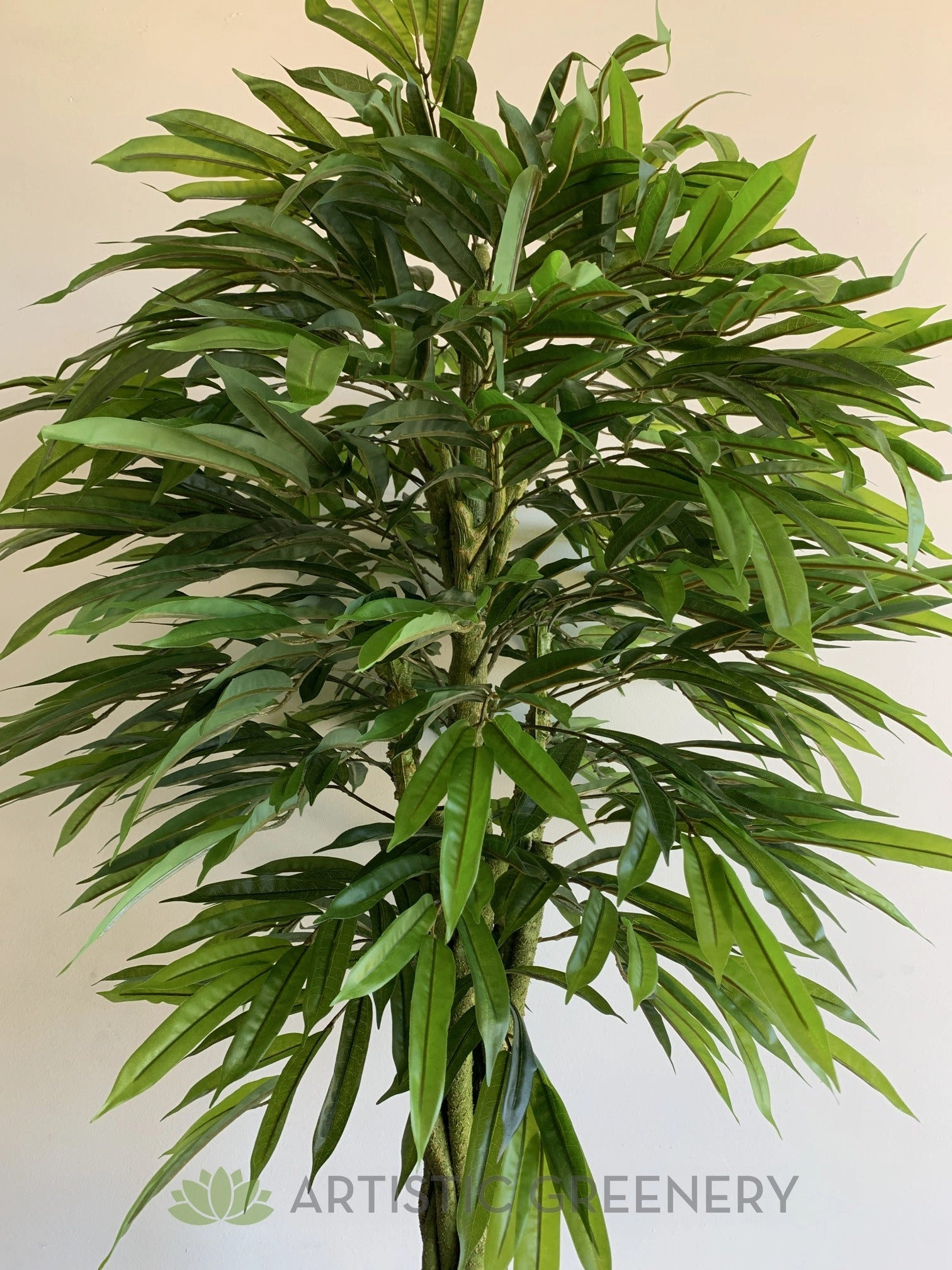 T0168 Banana-leaf Ficus Twisted Base 180cm