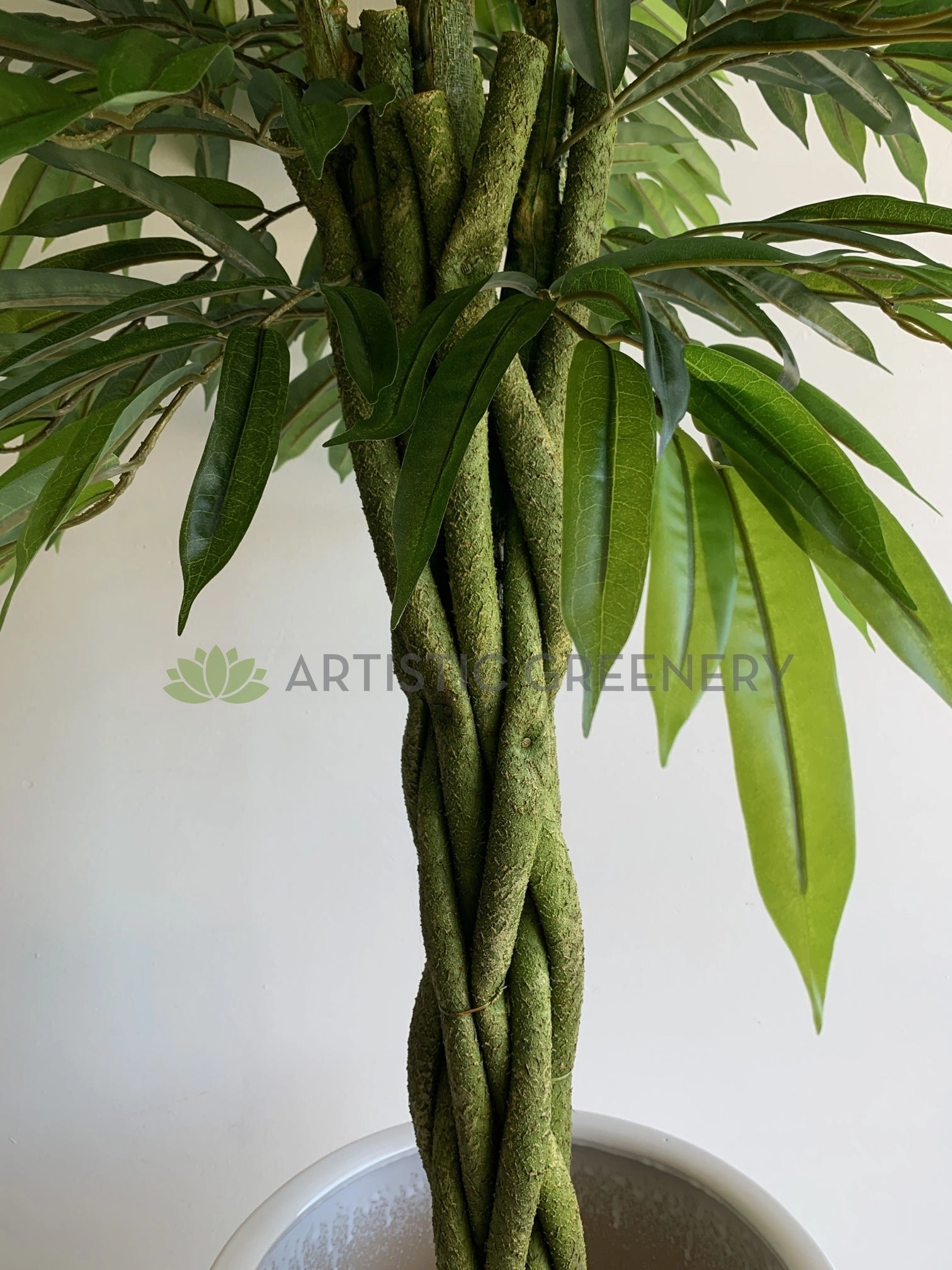 T0168 Banana-leaf Ficus Twisted Base 180cm