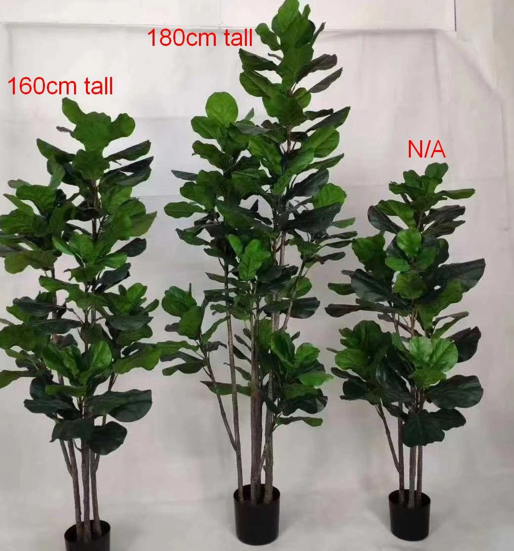 T0169 Fiddle Fig Leaf Tree Available in 3 Sizes 120 / 160 / 180cm
