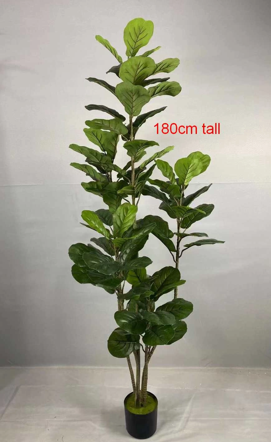 T0169 Fiddle Fig Leaf Tree Available in 3 Sizes 120 / 160 / 180cm