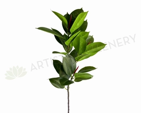 T0172 Rubber Branch / Rubber Fig 97cm indoor plant stand  