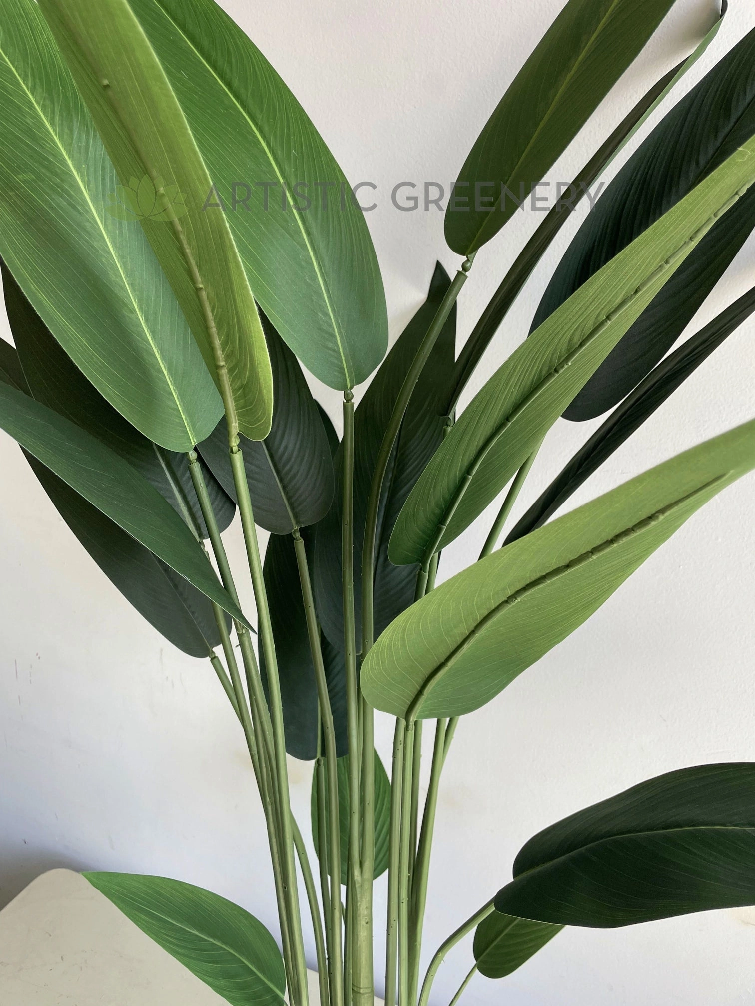 T0178 Bird of Paradise Plant 140cm
