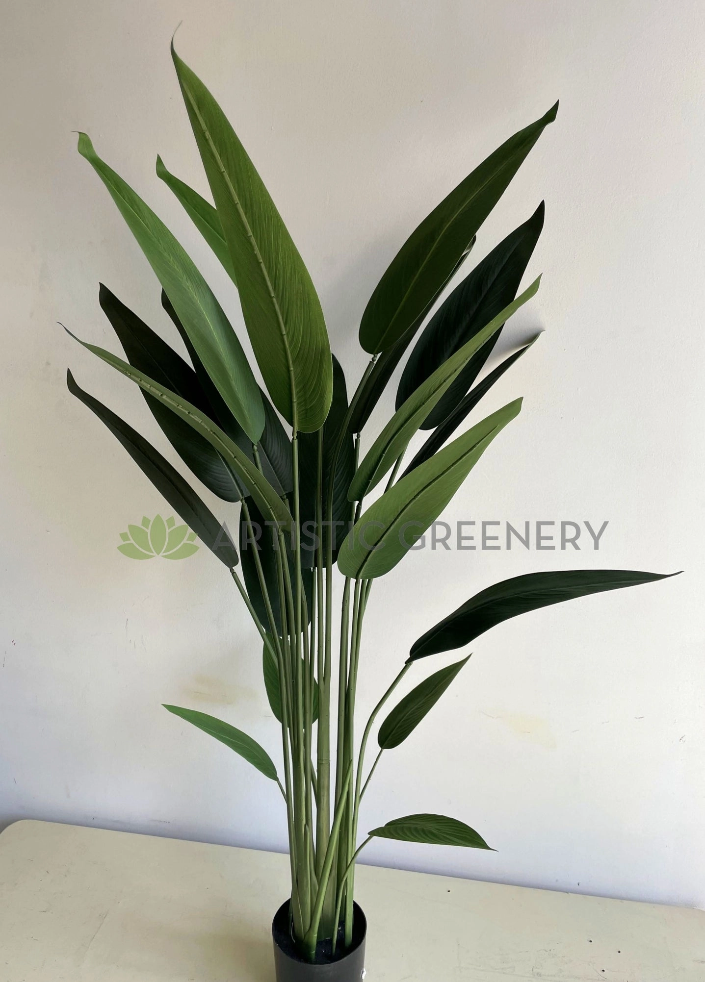 T0178 Bird of Paradise Plant 140cm