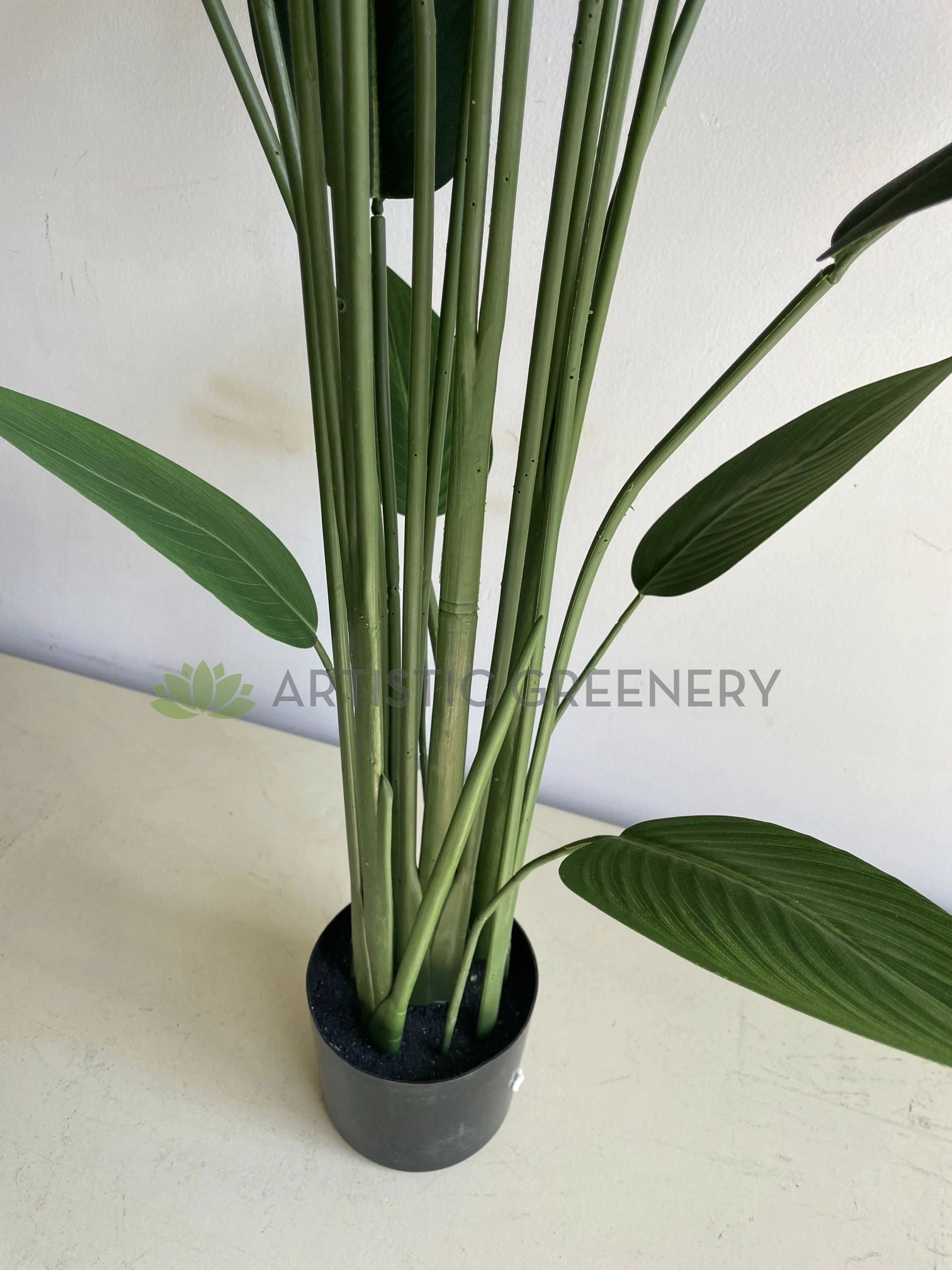 T0178 Bird of Paradise Plant 140cm