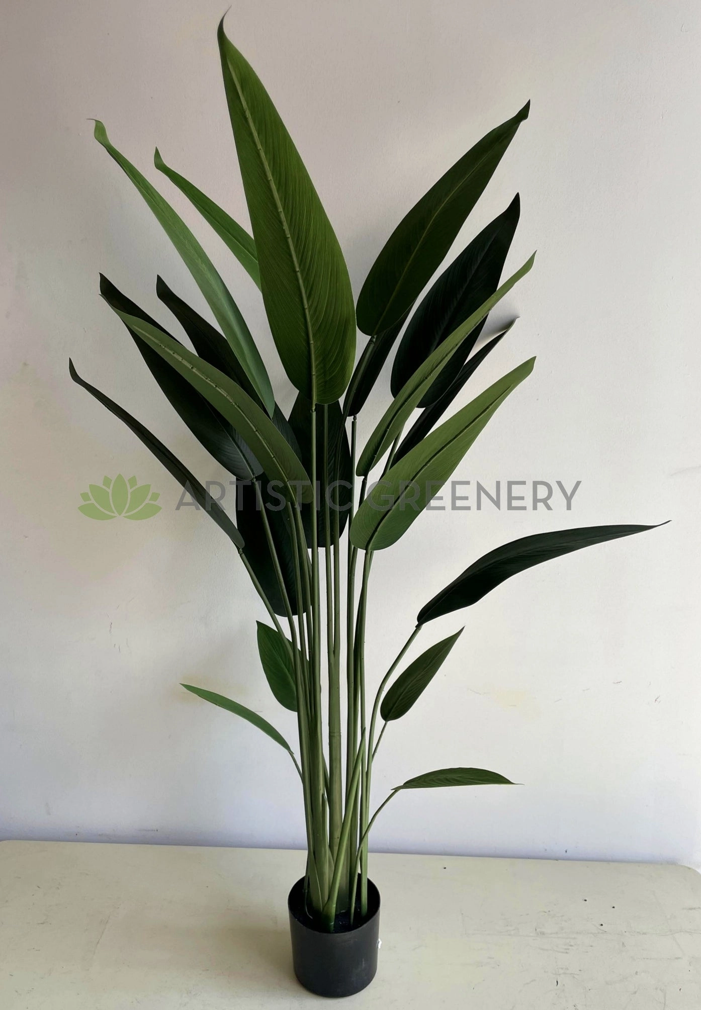 T0178 Bird of Paradise Plant 140cm