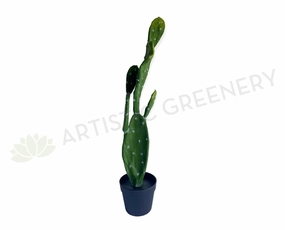 T0179 Barbary Fig / Pear Cactus 75cm indoor plant stand  