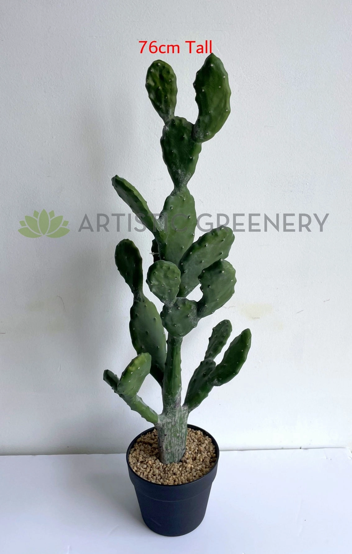 T0180 Barbary Fig / Prickly Pear Cactus 2 Sizes (76cm / 112cm)