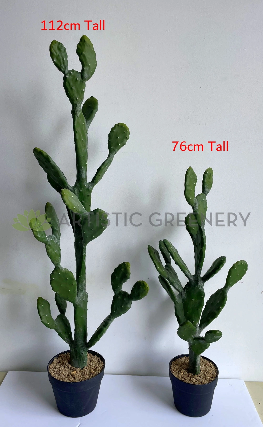 T0180 Barbary Fig / Prickly Pear Cactus 2 Sizes (76cm / 112cm)