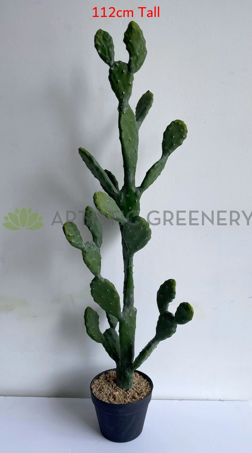 T0180 Barbary Fig / Prickly Pear Cactus 2 Sizes (76cm / 112cm)
