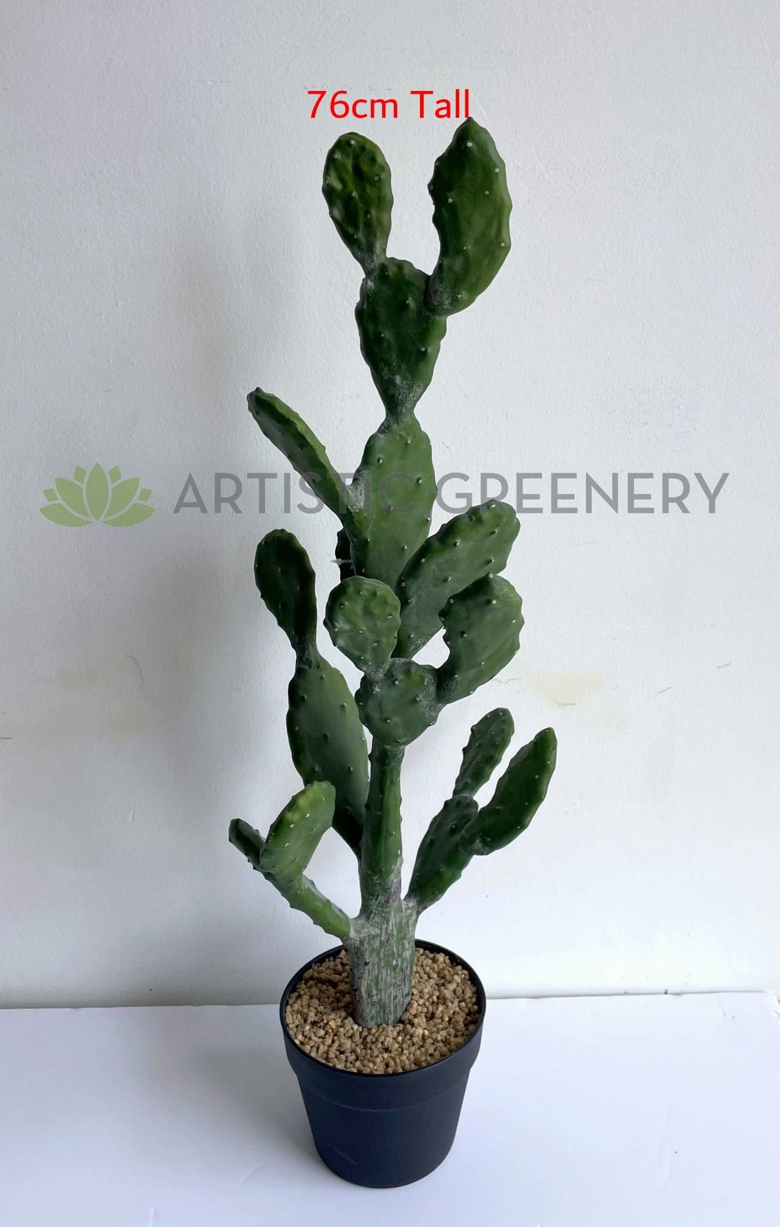 T0180 Barbary Fig / Prickly Pear Cactus 2 Sizes (76cm / 112cm)