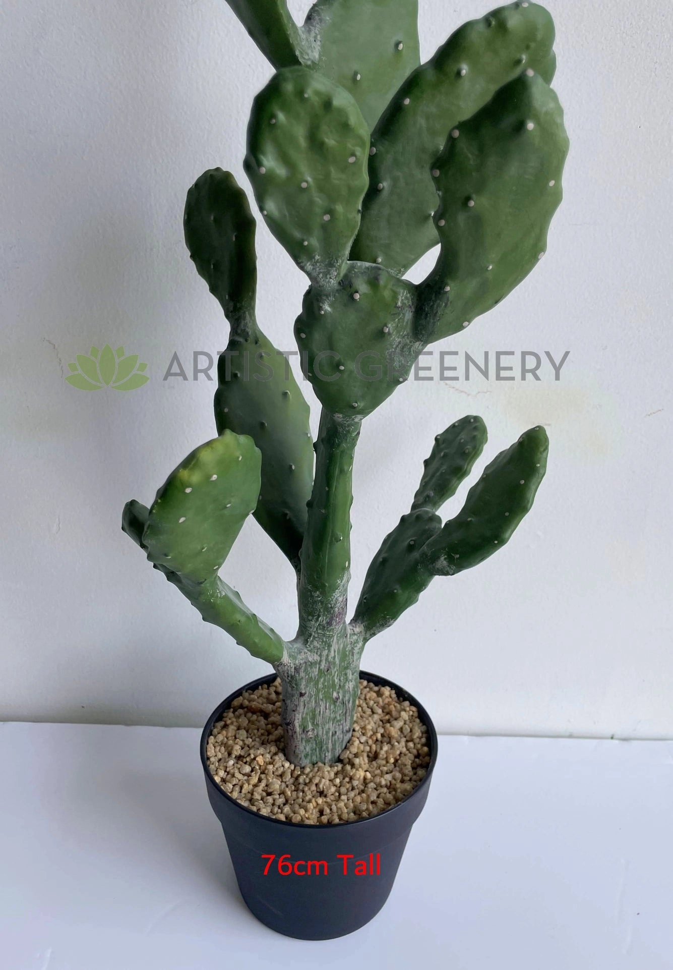 T0180 Barbary Fig / Prickly Pear Cactus 2 Sizes (76cm / 112cm)