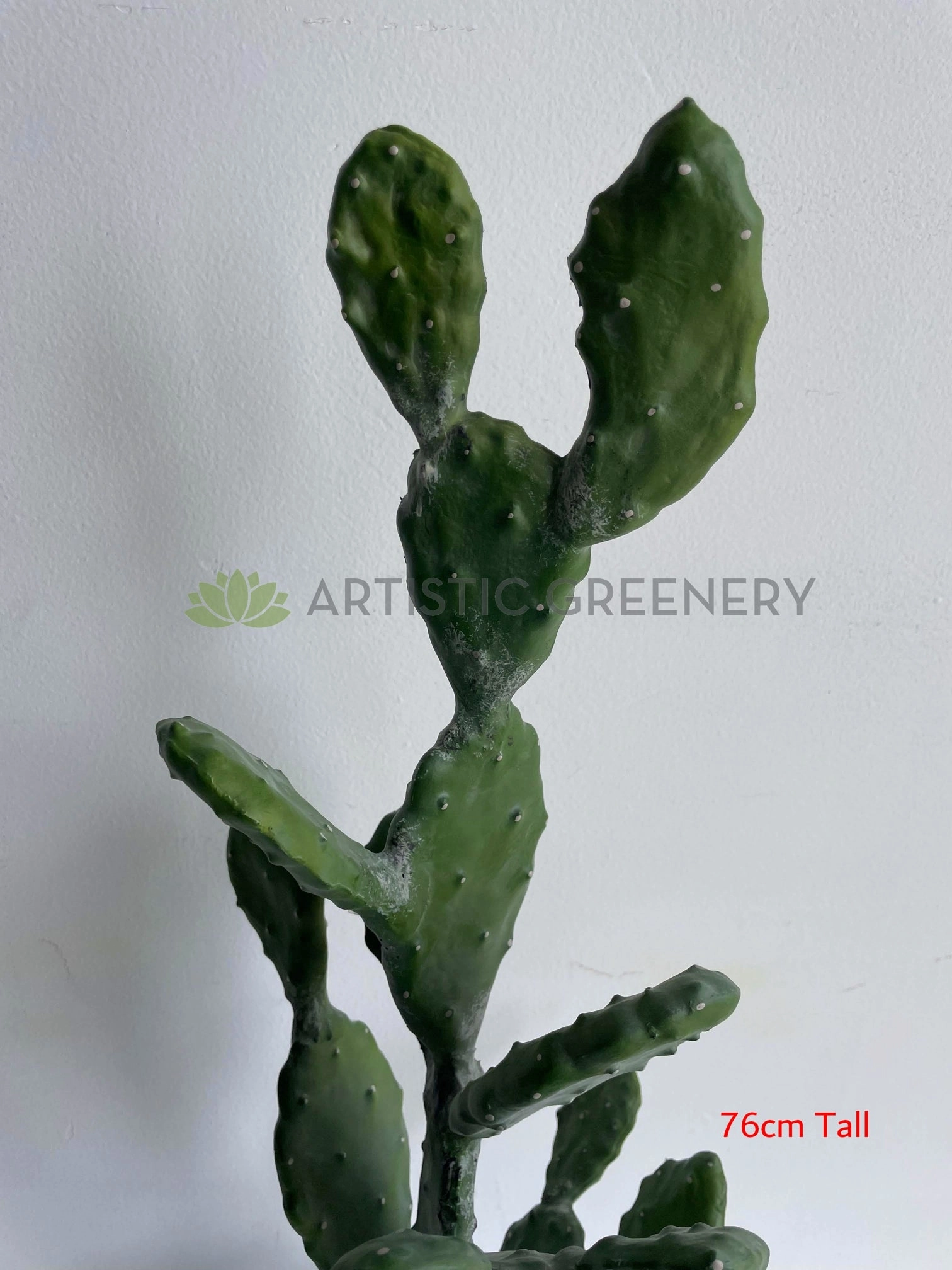 T0180 Barbary Fig / Prickly Pear Cactus 2 Sizes (76cm / 112cm)