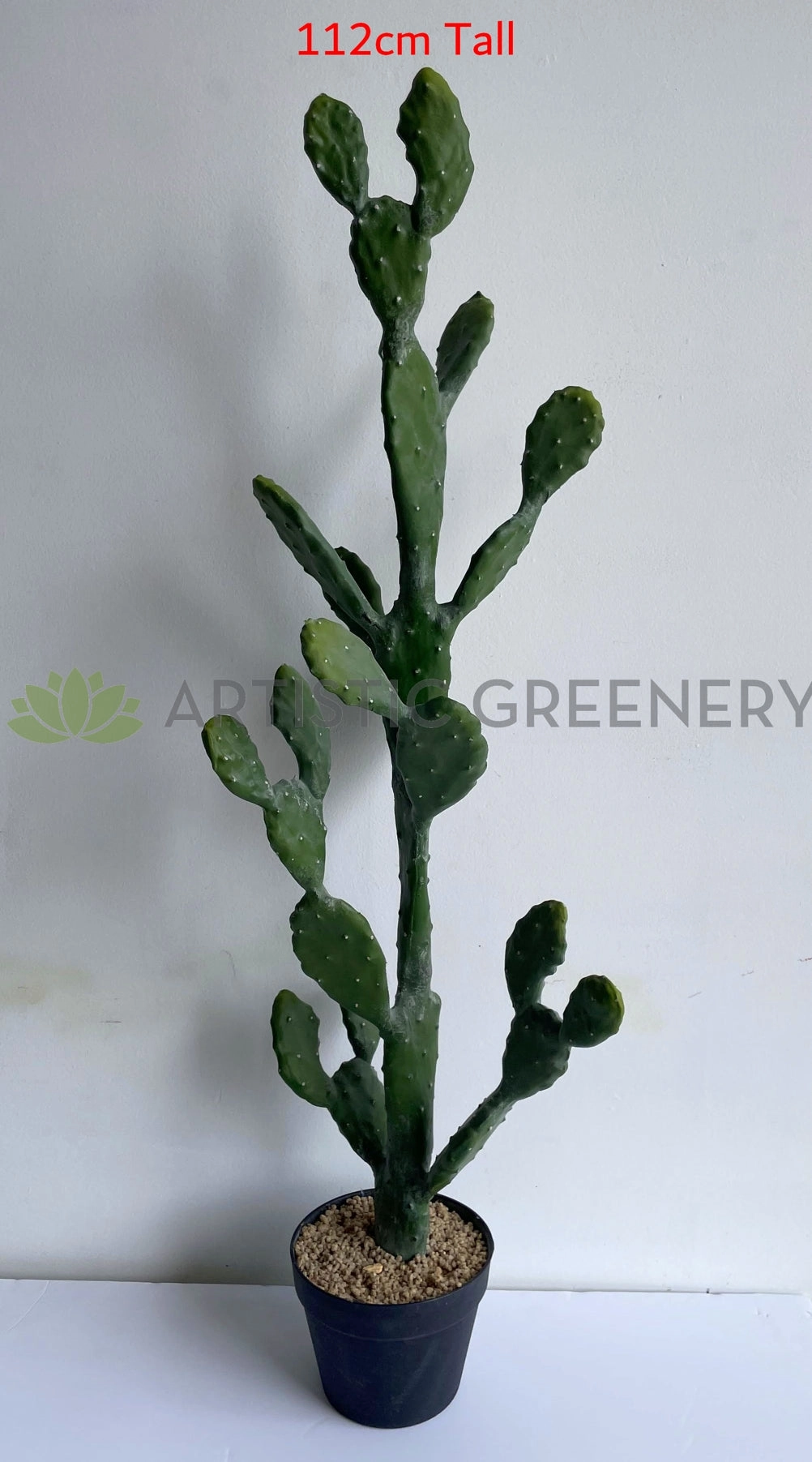 T0180 Barbary Fig / Prickly Pear Cactus 2 Sizes (76cm / 112cm)