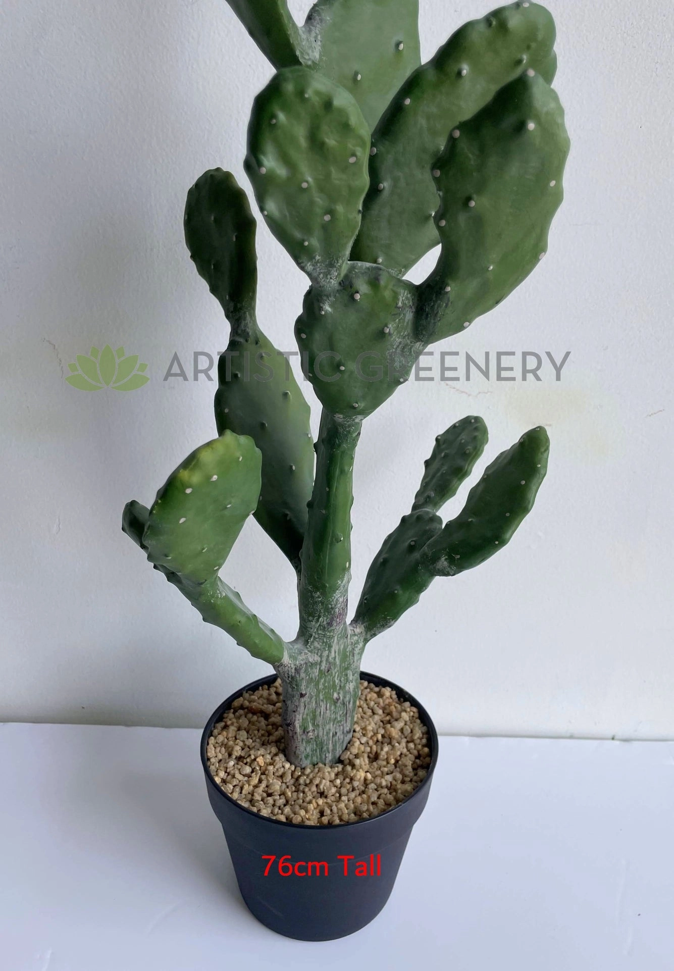 T0180 Barbary Fig / Prickly Pear Cactus 2 Sizes (76cm / 112cm)
