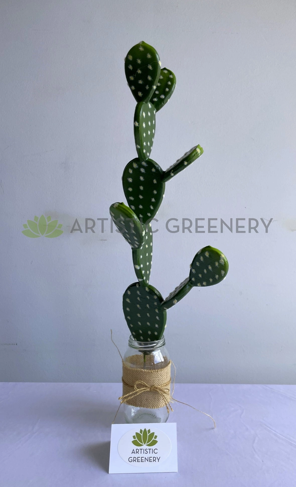 T0183 Pear Cactus 58cm