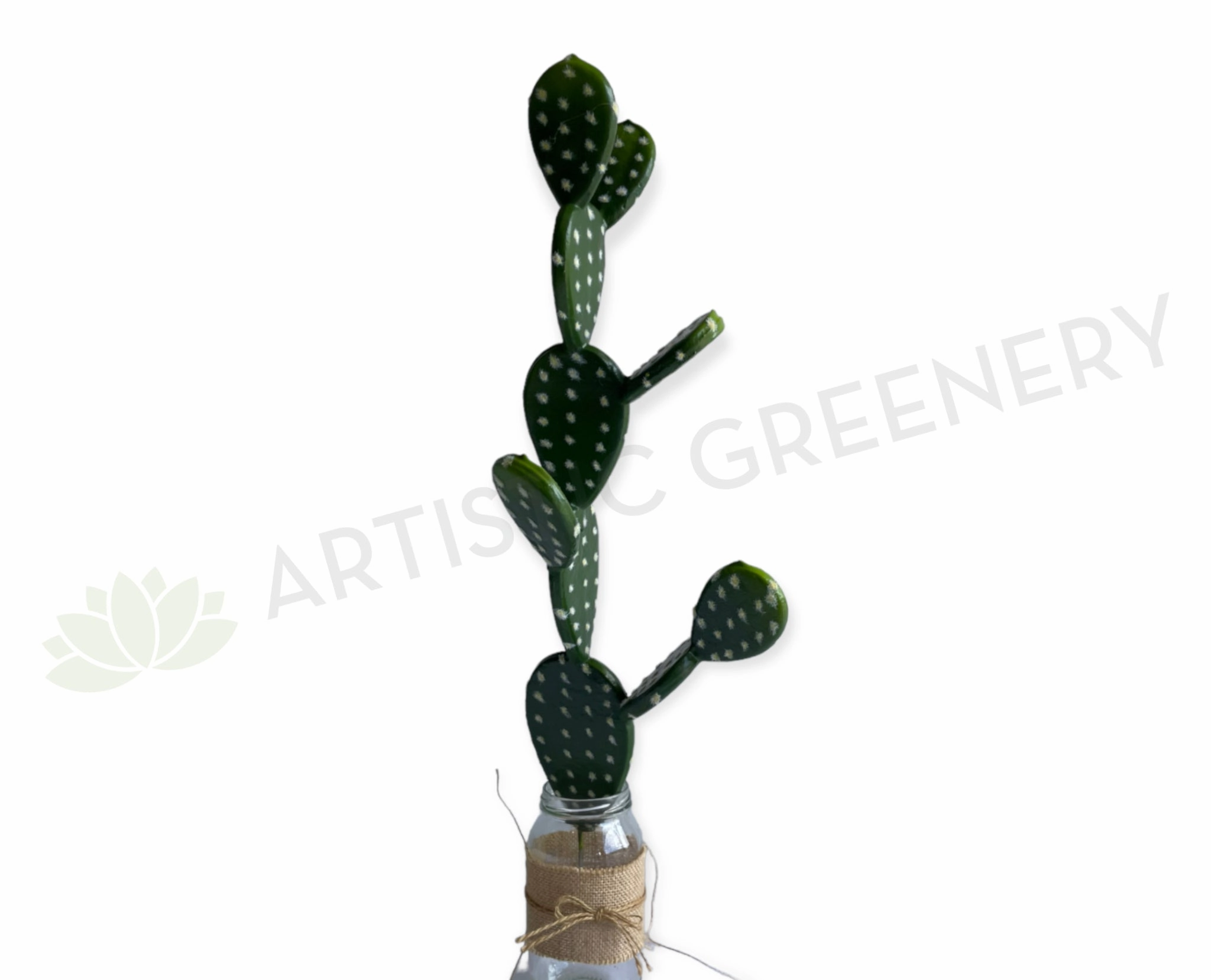 T0183 Pear Cactus 58cm mini ornamental plant  